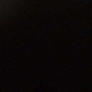 Meet your Posher, Sidney